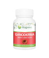 Vitagreen Ganoderma Capsules - 60 capsules