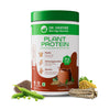 Dr.Vaidya's Plant Protein Powder - 500 GM