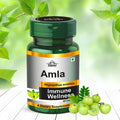 Cipzer Amla Capsules