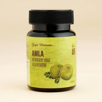 Isha Life Amla Tablet - 60 Tabs
