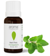 Aroma Treasures Basil Essential Oil - 10 ML