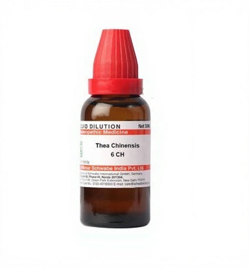 Dr. Willmar Schwabe India Thea Chinensis Dilution - 30 ML