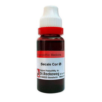Dr. Reckeweg Angelica Mother Tincture Q