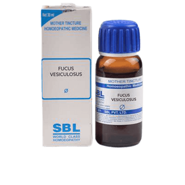 SBL Homeopathy Fucus Vesiculosus Mother Tincture Q
