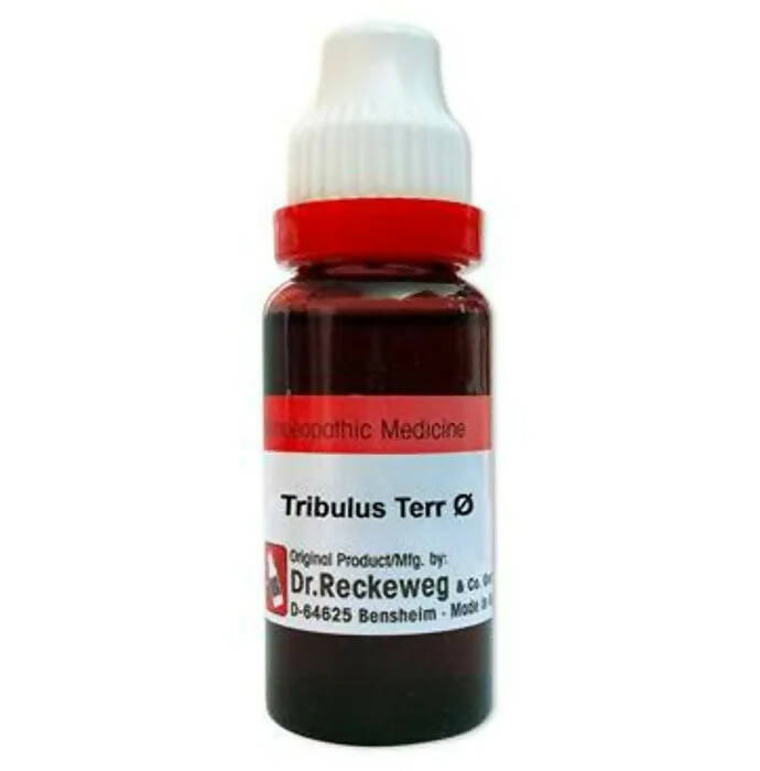 Dr. Reckeweg Tribulus Terr Mother Tincture Q