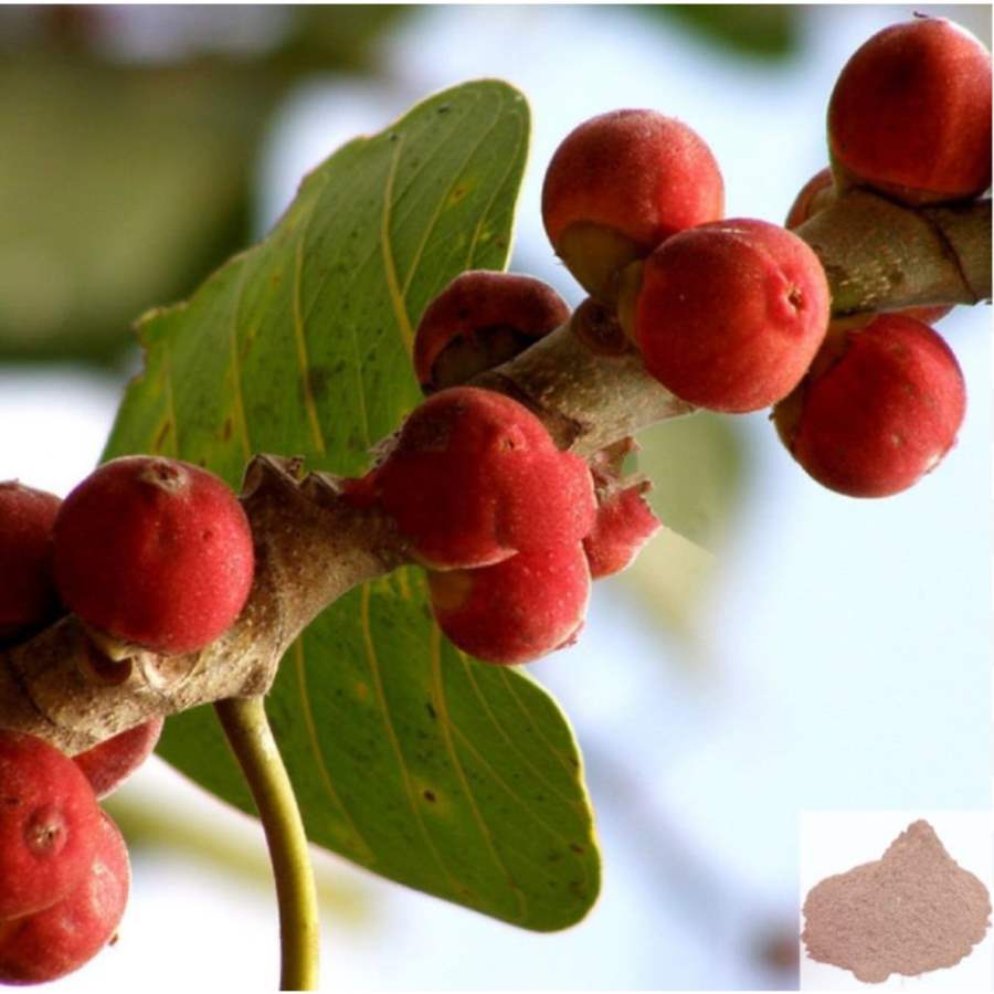 MSK Traders - Nature Herbal Aalam Pazham / Banyan Fruit Powder