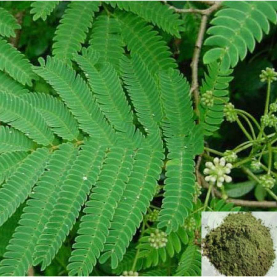 MSK Traders - Nature Herbal Arapu / Oil Cake Tree Powder