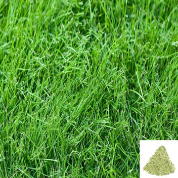 MSK Traders - Nature Herbal Arukam Pul / Bermuda Grass Powder