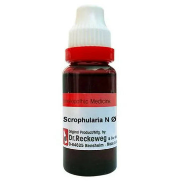 Dr. Reckeweg Scrophularia N Mother Tincture Q