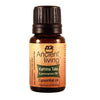 Ancient Living Kattrina Taila (Lemongrass Oil) Essential Oil