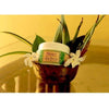 Neev Herbal Herbal Aloe Beauty Cream