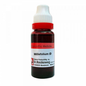 Dr. Reckeweg Cactus Grand Mother Tincture Q