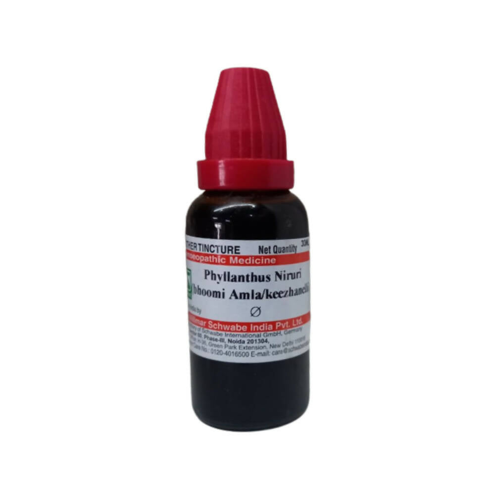Dr. Willmar Schwabe India Phyllanthus Niruri Mother Tincture Q