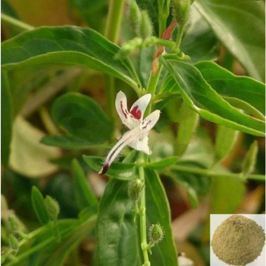 MSK Traders - Nature Herbal Sivanar Vembu , Chimai - Nili / Wiry Indigo Powder