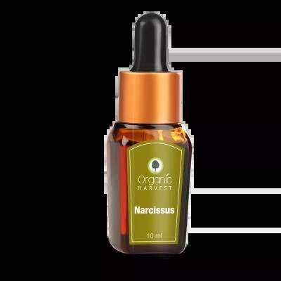 Buy Organic Harvest Narcissus Essential Oil online Australia [ AU ] 