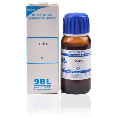 Buy SBL Salix Nigra 1X (Q)