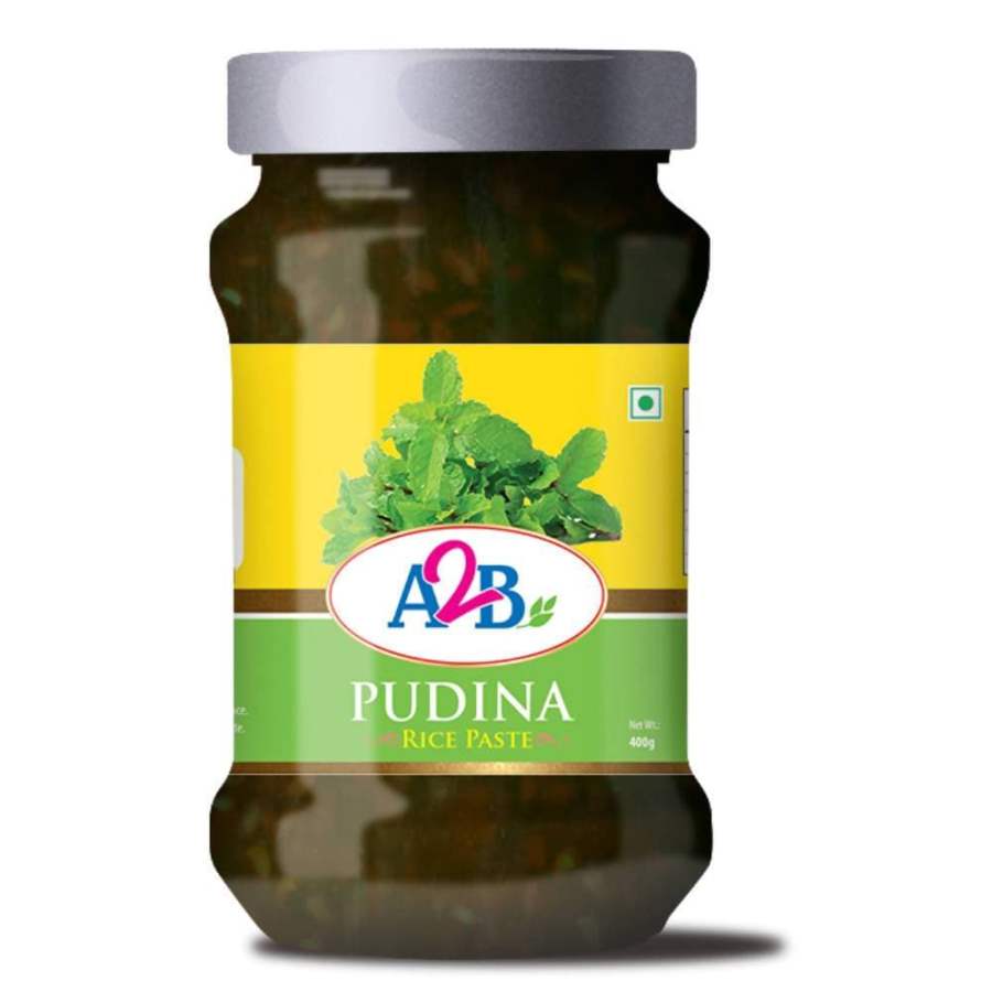 Buy Adyar Ananda Bhavan Pudina Rice Paste - 400 gm online Australia [ AU ] 