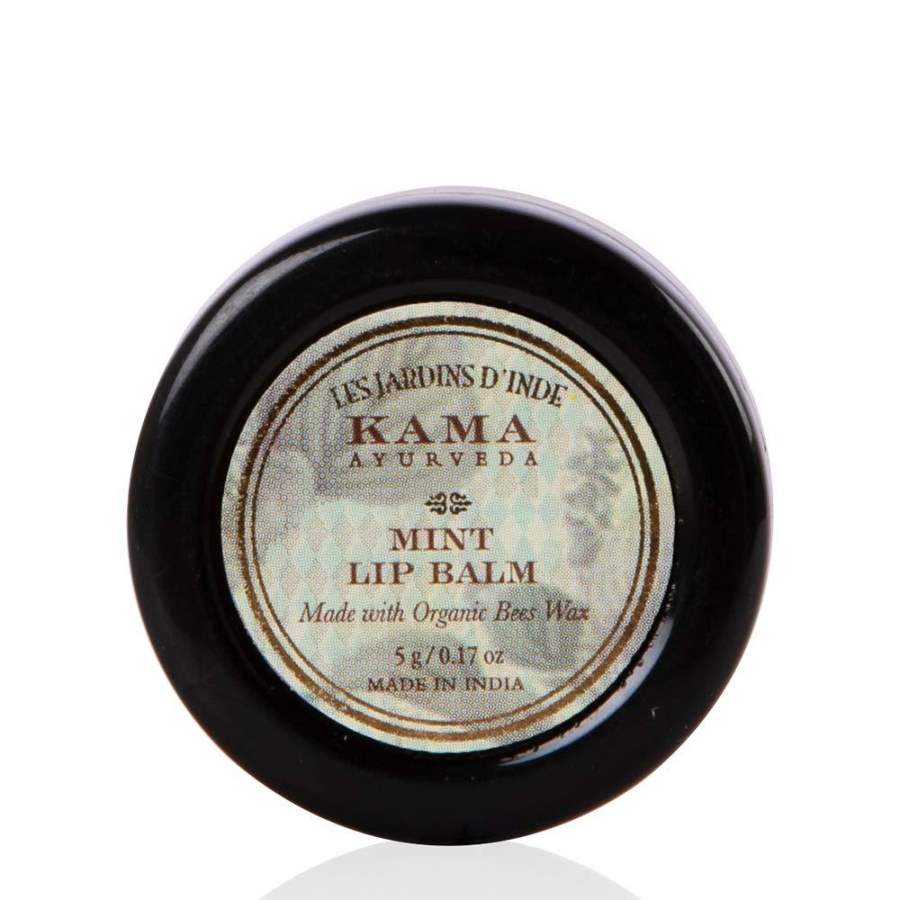 Buy Kama Ayurveda Mint Lip Balm, 5g
