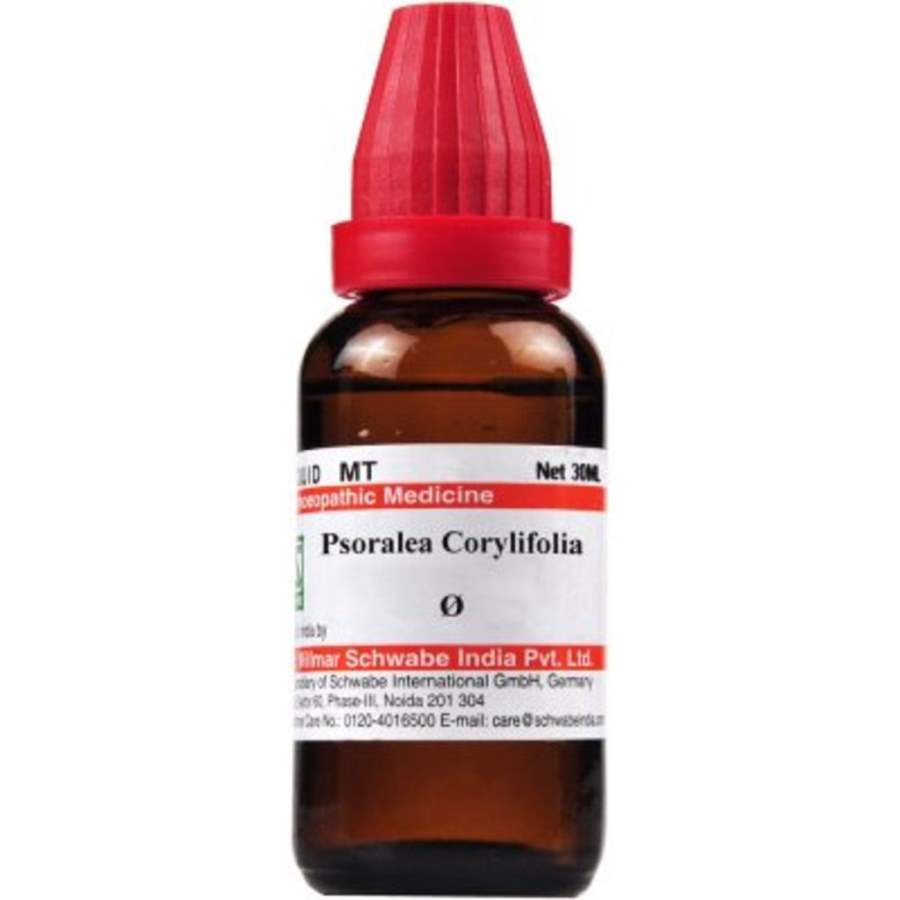 Buy Dr Willmar Schwabe Homeo Psoralea Corylifolia 1X ( Q )